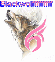 L'avatar di blackwolfA